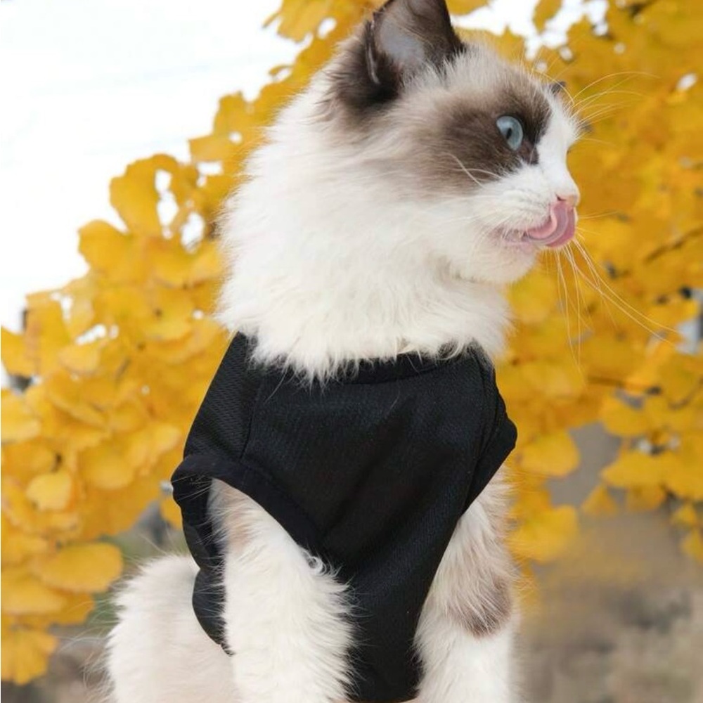 Cat or dog sleeveless, breathable vest size Large Printed on it " Trouble maker" - Picture 3 of 5